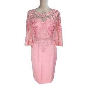 TS Cauture Womens Sheath Gown Knee Length Dress Size 8 Pink Lace Chiffon  E7P